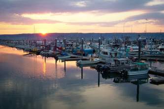 2004 06 Homer 09 n8ij64