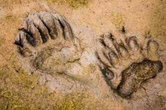2012 06 15 Kachemak Bay Wilderness Lodge 102 mxeycc