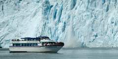 Kenai Fjords Tours