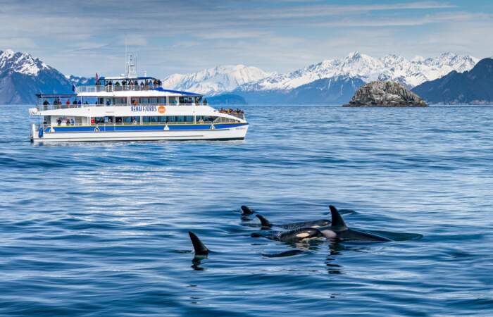 2019 major marine tours jodyo photos 19 F0514 026