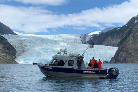 Seward Ocean Excursions