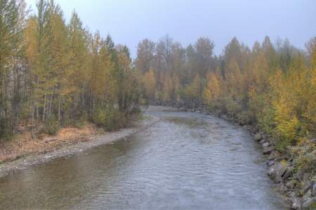 Montana Creek Combat Fishing