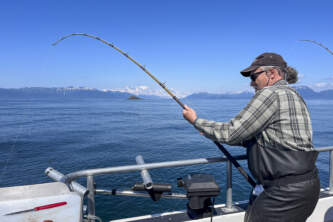 Adventure Fishing Tours Dad Halibut Reelin In Jojo