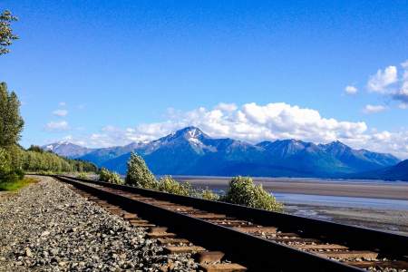 Spawning Salmon of Indian Creek