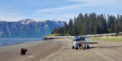 Alaska Air Service: Bear Viewing
