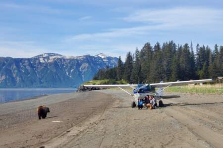 Alaska Air Service: Bear Viewing