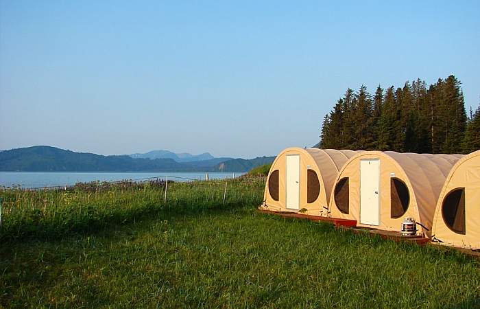 Alaska bear camp bear viewing bearcamp tents and bay great alaska bear camp