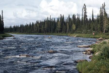 Gulkana River Float Trip Guide