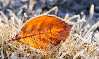 Alaska in november early winter in alaska 4389 Alaska Channel