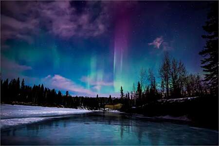 Alaska Wild Lights: Northern Lights & Chena Hot Springs Tour
