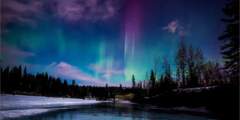Alaska Wild Lights: Northern Lights & Chena Hot Springs Tour