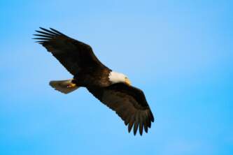 Alaska 17 alaska kodiak photo workshop