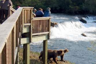 Anchorage Bear Viewing Lodges Thumbnail Brooks Falls Platform copyright Melissa Ackerman