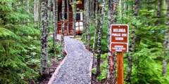 Bore Tide & Beluga Cabins at Bird Creek