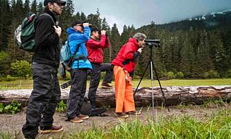 Best way to see alaska mj9r6m