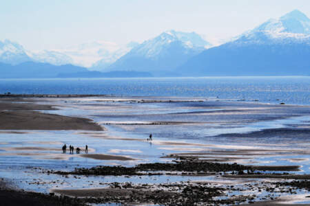 Bishop Creek Trail & Picnic Area