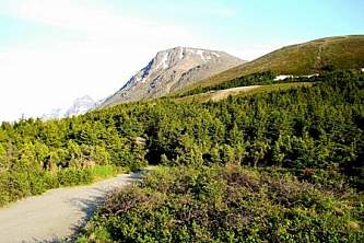 Chugach state park guided hiking Flattop1