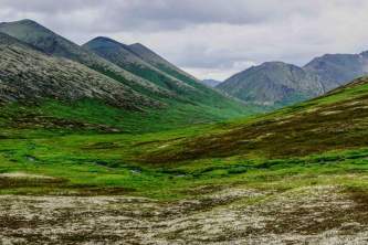 Cooper landing parks trails Shawn Lyons