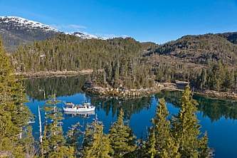 Cordova ak095 D10893 Hugh Rose