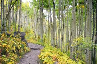 Crater Lake Trail