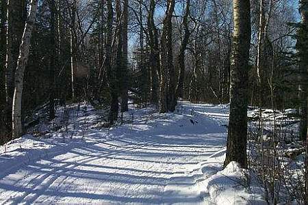 Crevasse Moraine Trail System