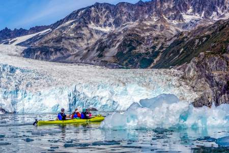 Liquid Adventures – Wildlife Cruise & Kayak