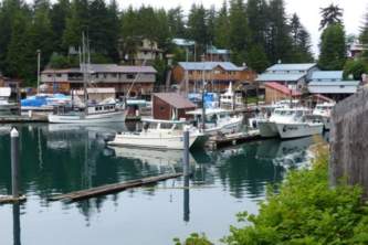 Elfin cove Elfin Cove P1040145 Copyright 2015 Cynthia Meyer All rights reserved