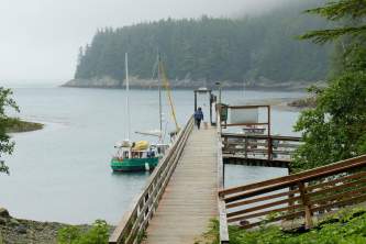 Elfin Cove Elfin Cove P1030768 o1w72b