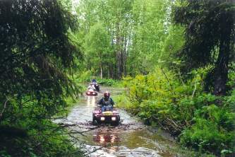 Girdwood 10 Penguin alaska atv adventures