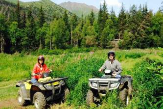 Girdwood Alpine Meadow alaska atv adventures