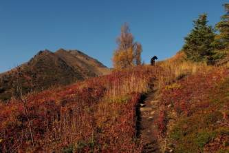 Hope parks and trails IMG 1984 Shawn Lyons