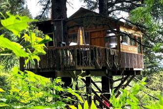 IMG 3607 alaska alaska seldovia wilderness lodge treehouse cove alaska org