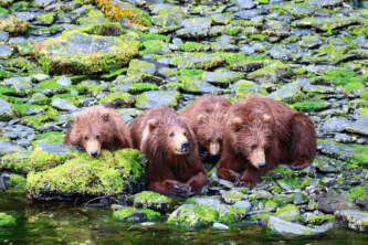 IMG 4490 Brian Mc Kayalaska outdoors addictionalaska org alaska outdoors addiction