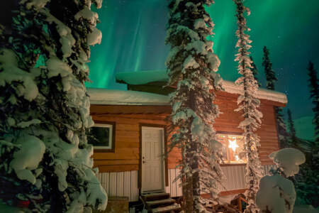 Arctic Hive Retreats