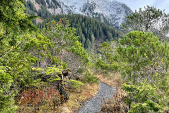 IMG 8345 Alaina Browntongass treksalaska org tongass treks