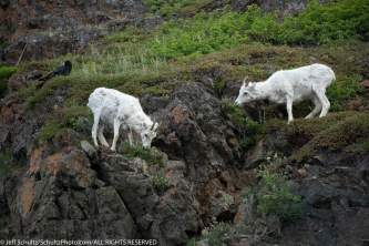Jeff schultz photography tours Jeff Schultz schultzphoto com 6
