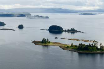 Kake Kake P1050303 o1w65t