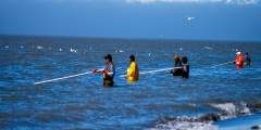 Kenai Dipnetting at the mouth of the Kenai River alaska kenai