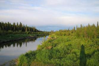 Kenai soldotna parks trails