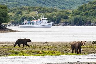Kodiak bear viewing lodges Island C 9www Jess Taunton com
