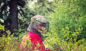 Lake Clark National Park 119 mxeyhb