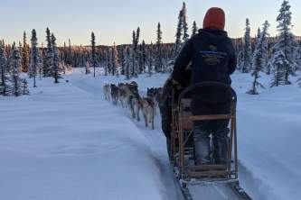 Liz Raines Failor Screen Shot 2021 01 13 at 1 00 57 PM alaska alaskan husky adventures