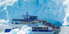 Major Marine Kenai Fjords Cruise