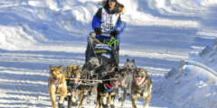 Happy Trails Kennel Dog Sled Tours