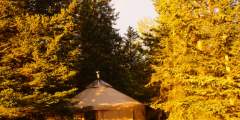 Humpy Creek Yurt