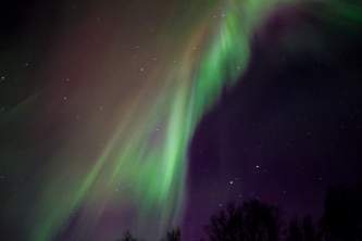 Northern lights fairbanks northern lights alora kovtynovich2019