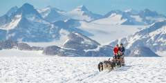 NorthStar Helicopters Glacier Dog Sled Adventure