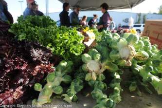 Palmer wasilla sightseeing tours Stephen Nowers alaskaphoto net
