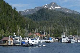 Pelican Pelican P1020449 o1w6hy