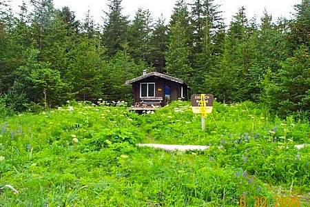 Port Chalmers Cabin